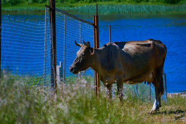 Similar image 21755842