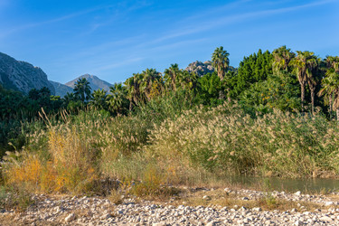 Similar image 21756421