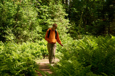 Similar image 21754396