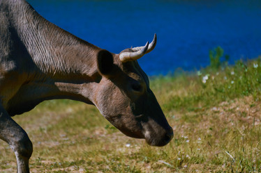 Similar image 21754605