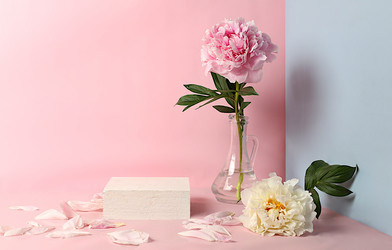 Similar image 21752136