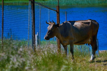 Similar image 21754816