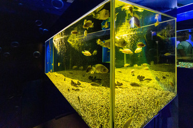 Similar image 21765033