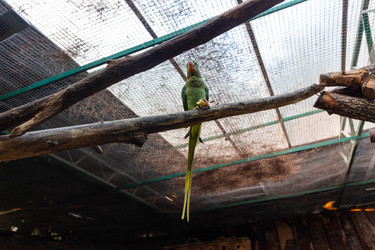 Similar image 21765034