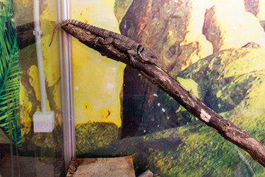 Similar image 21765035