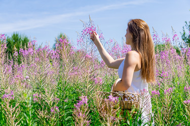 Similar image 21757399