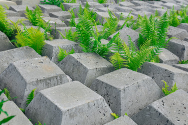 Similar image 21757412