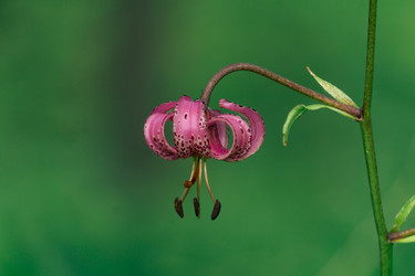 Similar image 21757417