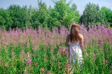 Similar image 21757423