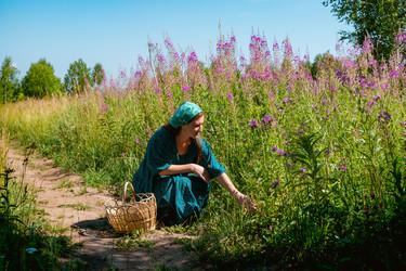 Similar image 21756422