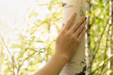 Similar image 21753784