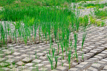 Similar image 21752748