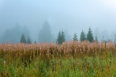 Similar image 21752753