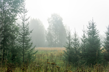 Similar image 21752755