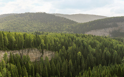 Similar image 21753052