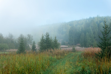 Similar image 21753054