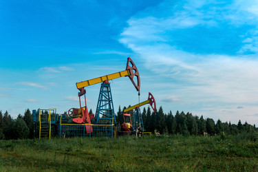 Similar image 21753387