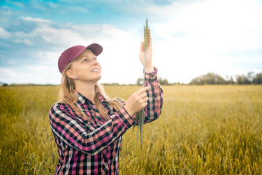 Similar image 21756775