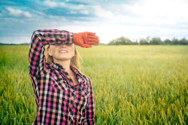 Similar image 21756777