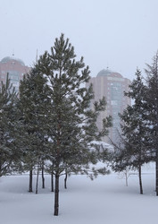 Similar image 21752160