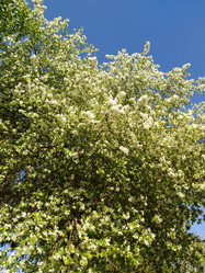 Similar image 21752176