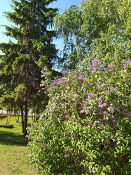 Similar image 21752177