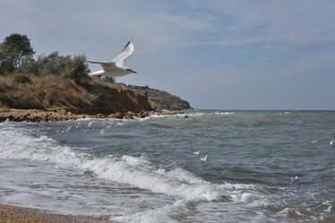 Similar image 21752193