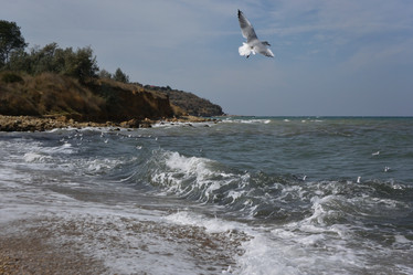 Similar image 21752194