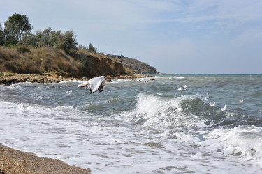 Similar image 21752195