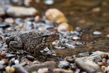 Similar image 21756239