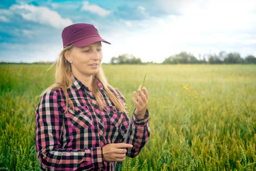 Similar image 21757446