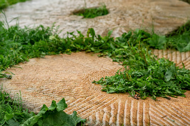 Similar image 21752767