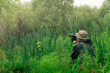 Similar image 21753064