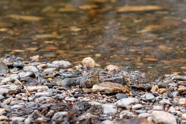 Similar image 21753066