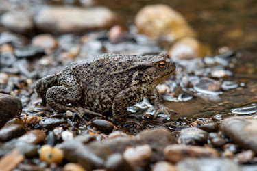 Similar image 21753067