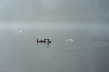 Similar image 21753395