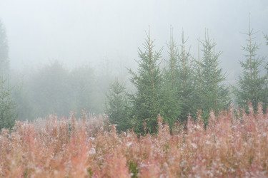 Similar image 21753397