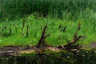 Similar image 21753399