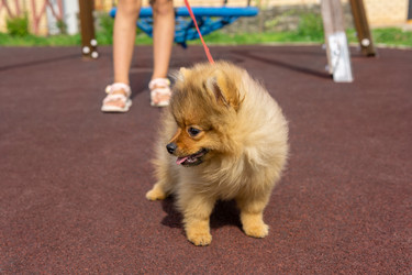 Similar image 21753796