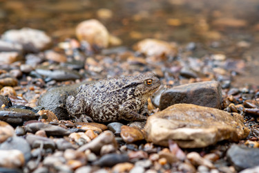 Similar image 21754003