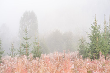 Similar image 21754828