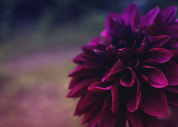 Similar image 21753515