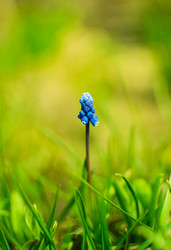 Similar image 21753516