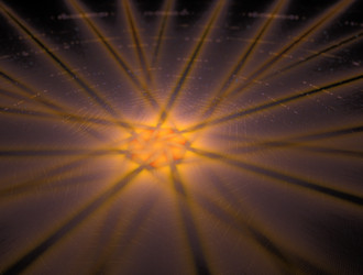 Similar image 21759486