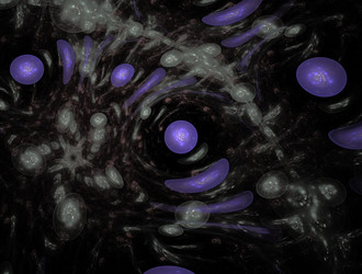 Similar image 21759519