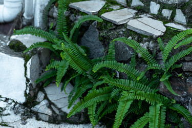 Similar image 21755238