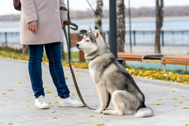 Similar image 21755246