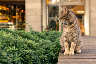 Similar image 21755668