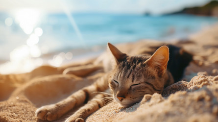 Similar image 21752967