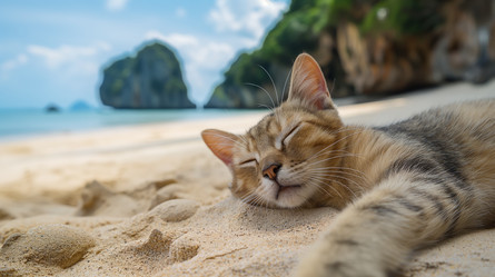 Similar image 21752968